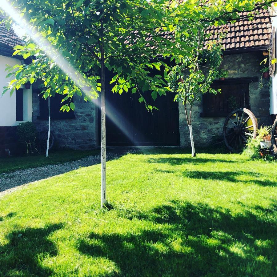 Villa The Hunter House Ciudanovita Exterior foto